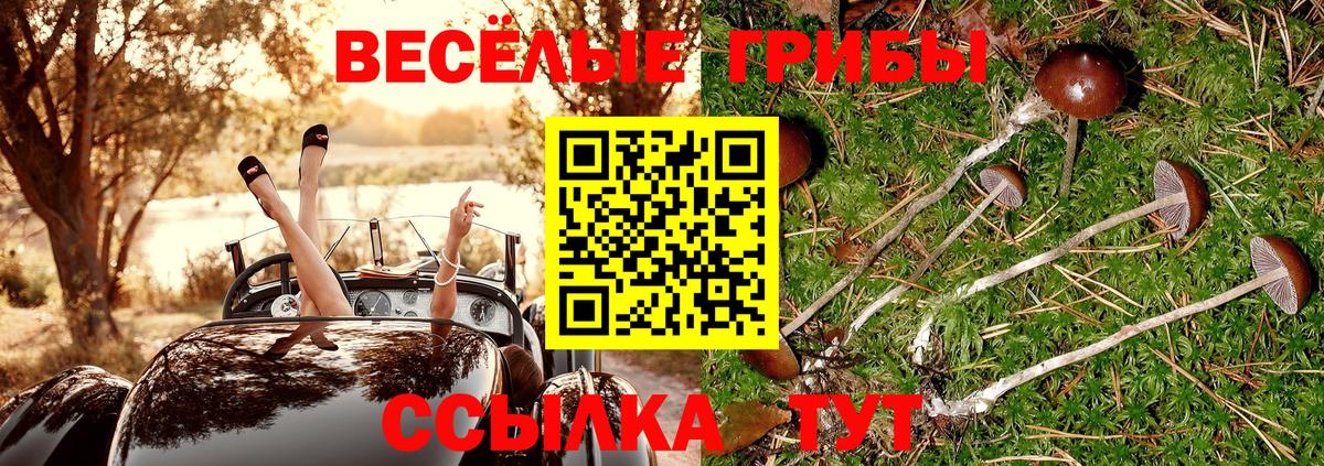 Псилоцибиновые грибы Magic Shrooms Мытищи